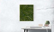 天涯论坛街拍：捕捉城市中的那些不寻常瞬间