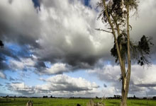 天涯社区App下载不了怎么办？快来跟我一起搞定！