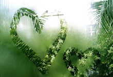 天涯情感天地曝真相！网友评论区炸锅了！