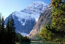 天涯社区App下载不了怎么办？快来跟我一起搞定！