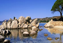 天涯社区app被下架事件引爆网络，网友们纷纷惊呼：老友网又没了？